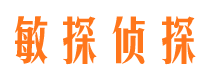 浦城市侦探公司